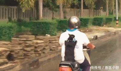 遠遠發現個騎摩托的小伙，身上的背包很特別，追上一看豎起大拇指 !