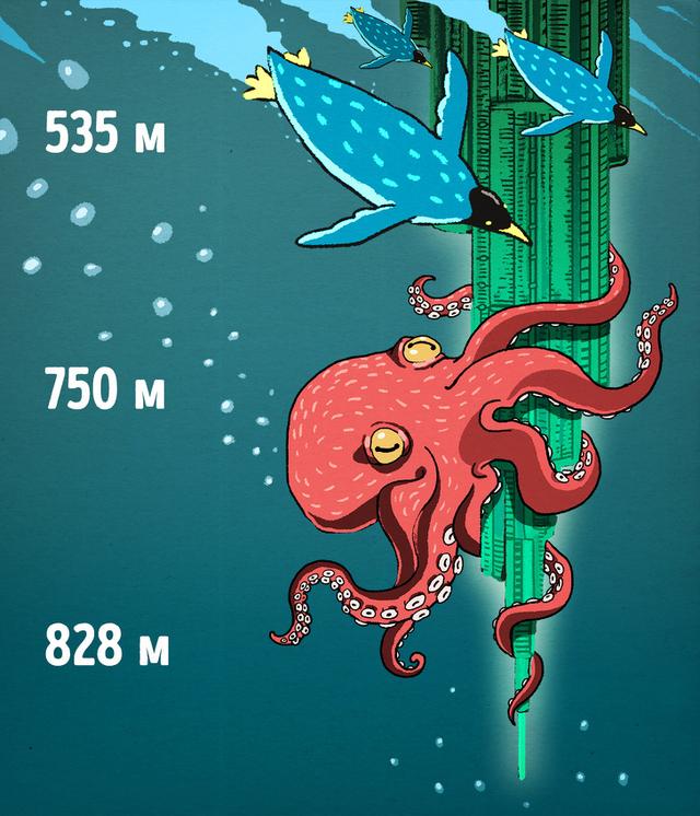 深度解讀：海洋有多深，下面到底是什麼