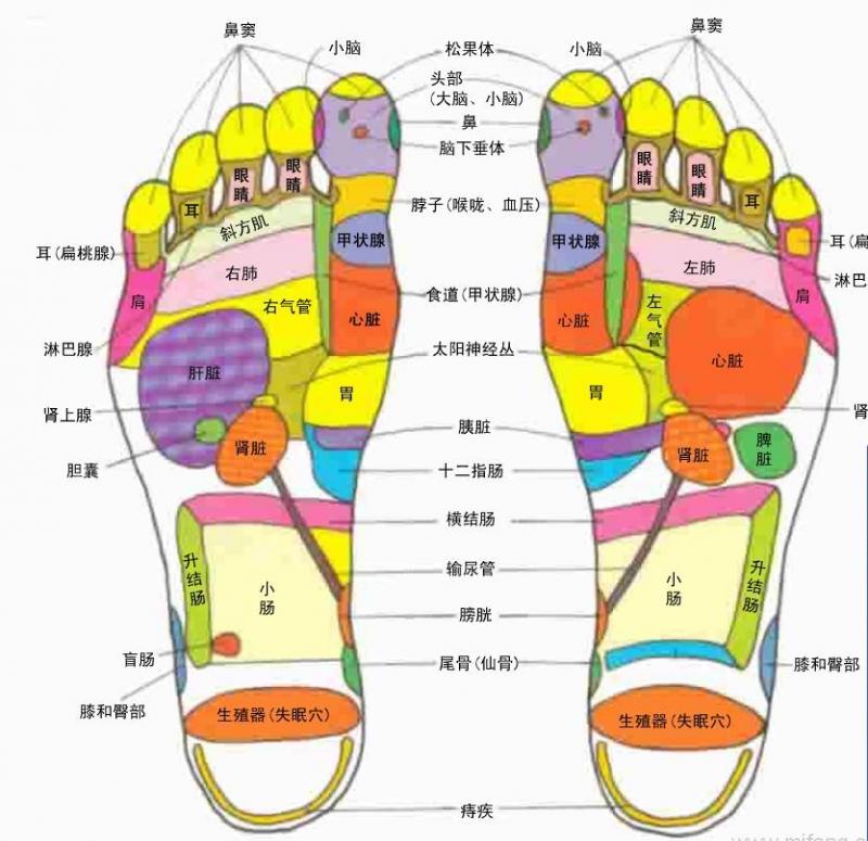 這種腳相的人最好命，一生福氣滿滿！快看看你是嗎？