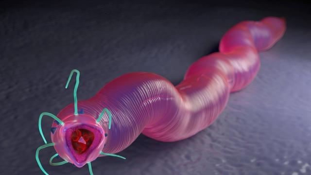 他們回來了！42,000年後，俄美科學家復活了遠古蠕蟲