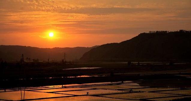 「大哭而來，靜靜地走」不插管、不氣切、不設靈堂告別式，沈富雄的8點準遺言