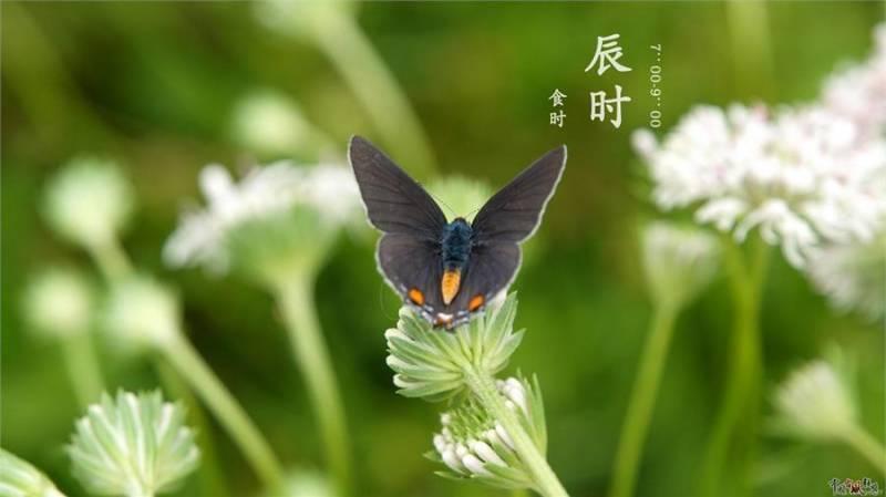大師說：這4個時辰出生的人，天生人上人，男有權女有財，越老越有錢
