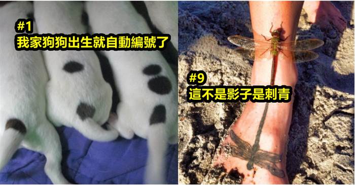 國外網友集合「12個巧到不能再巧」的巧合照片！