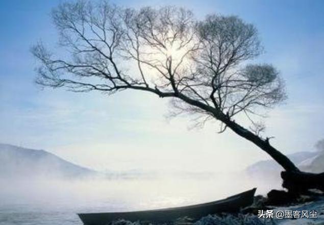 大智若愚之人常有的三個表現，每一個都是智慧