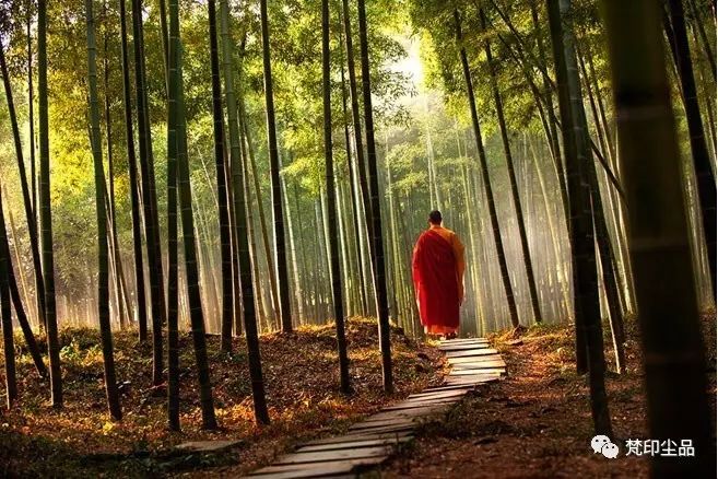 佛說：情緒，就是心魔（深度好文）