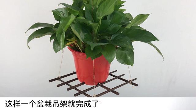 舊筷子別再扔掉了，綁根繩子掛陽台，一年能省下不少錢，快試試 
