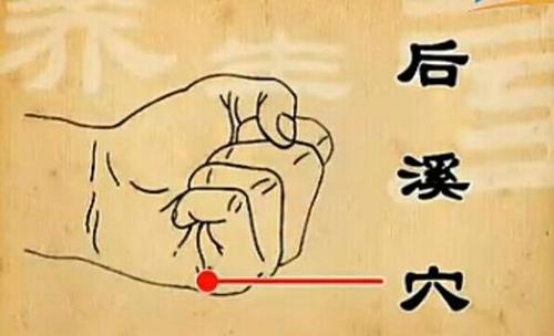 【每日一穴：後溪穴】