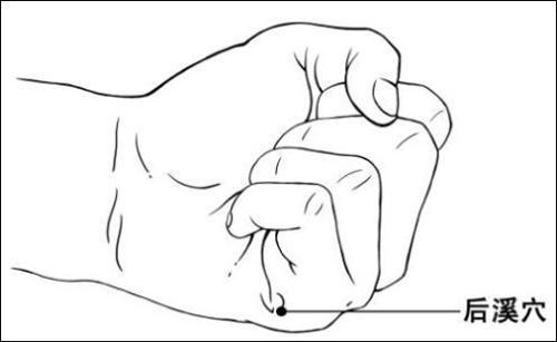 【每日一穴：後溪穴】
