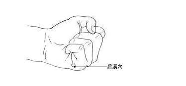 【每日一穴：後溪穴】