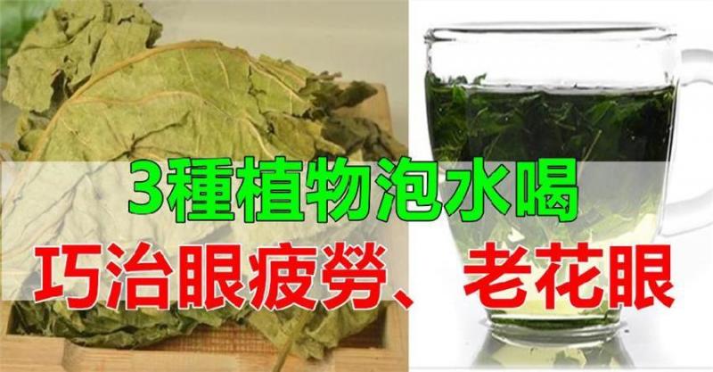 3種植物泡水喝，巧治眼疲勞、老花眼！