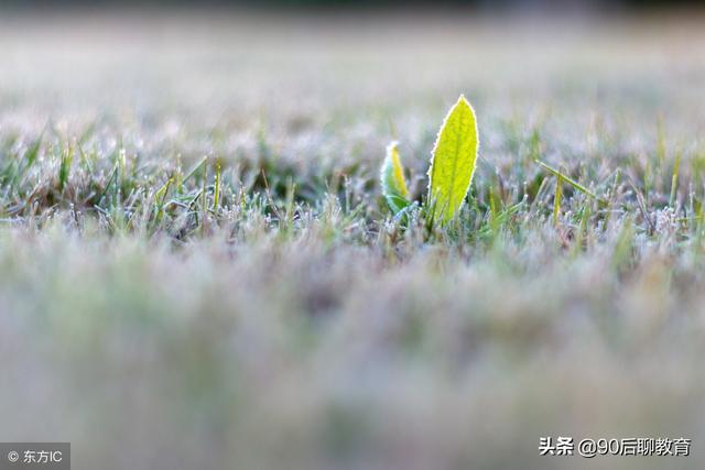 爭的是理，輸的是情，傷的是自己！