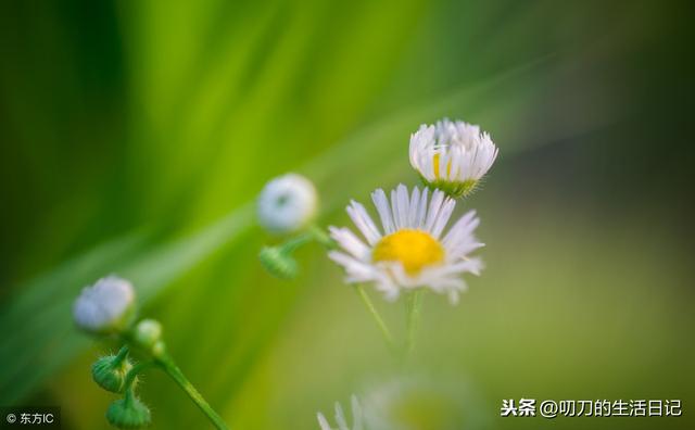 生活的路上，不如意十之八九