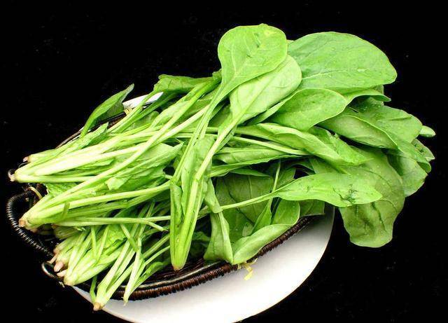 眼睛模糊看不清，每天吃點這3種食物，眼睛明亮視力上升。。
