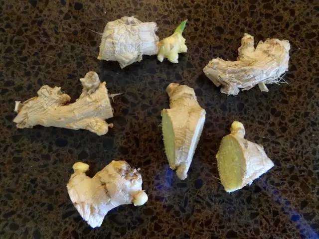 生薑這樣種，以後不用花錢買生薑了！超簡單！
