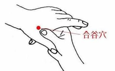 「能大開通」的神奇保健穴——四關