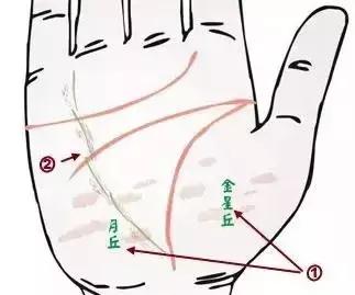 做自己的醫生：24種身心問題的手診圖解，收了吧！