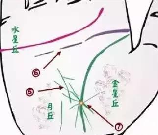 做自己的醫生：24種身心問題的手診圖解，收了吧！