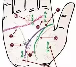 做自己的醫生：24種身心問題的手診圖解，收了吧！