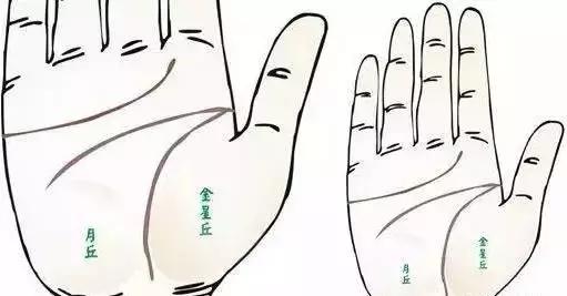做自己的醫生：24種身心問題的手診圖解，收了吧！