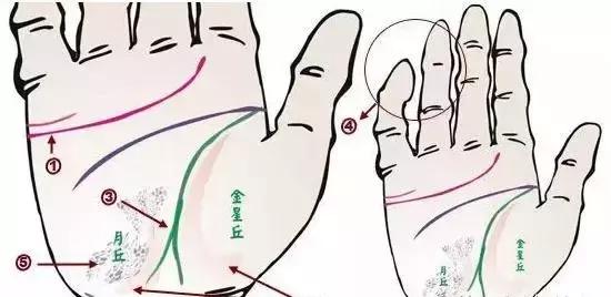 做自己的醫生：24種身心問題的手診圖解，收了吧！