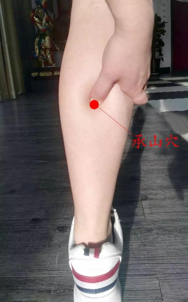 濕重是標，脾虛是本！祛濕補脾的3種方法送給您