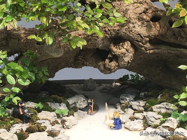 樹樁盆景布枝如書法運筆，具體有十忌十宜。