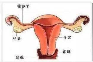 婦科醫生說：子宮不好的女人，身體會發出這7個信號，女人都要注意！！