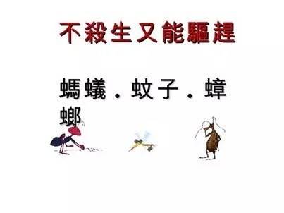 超神自從我用過這招一周後，蟑螂螞蟻蚊子已不住我家能100％見效又不殺生快學