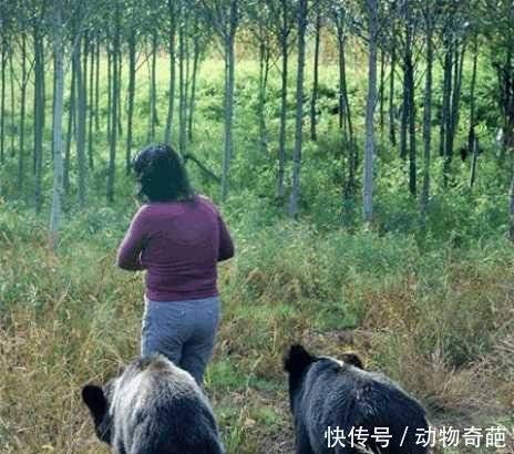 野外遇到兇猛的黑棕熊怎麼辦, 這位女士的做法令人出乎意料 !