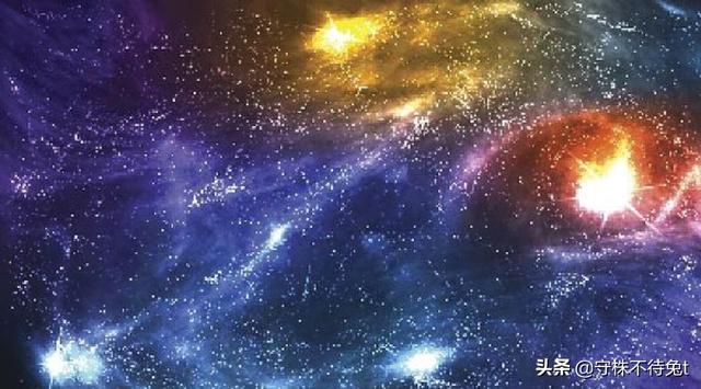 10個冷知識：人類的生命和常見的動物相比，處於什麼水平