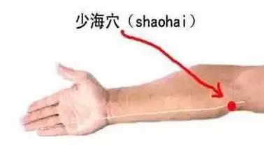 手少陰心經：養心當是養命！