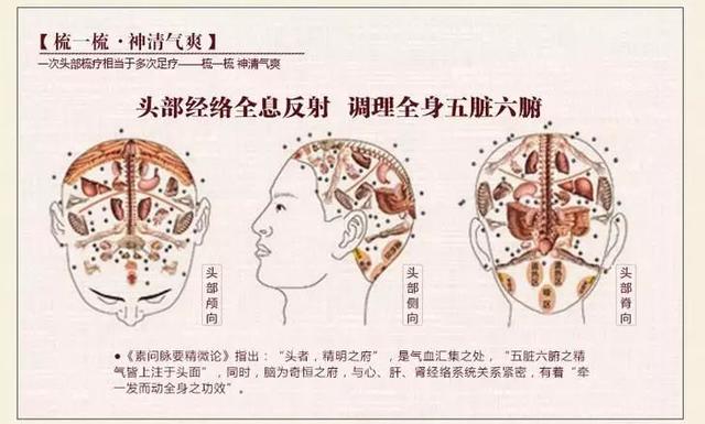 春天養生，從「頭」開始