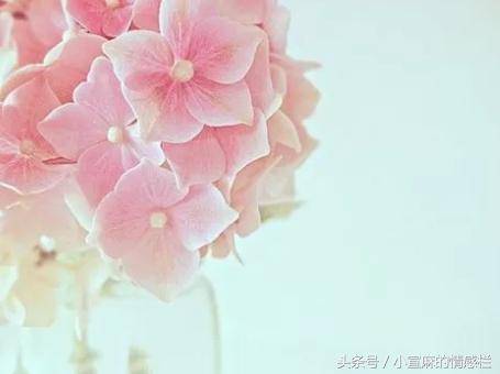 婆婆和姑姐要私吞我嫁妝，我一箭三雕，現在反而她們斷絕母女關係
