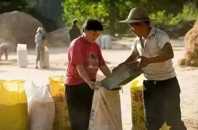 我偷賣妻子首飾給嫂子交住院費，她要離婚，後來妻子給嫂子8萬元