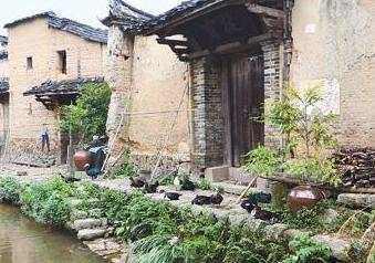 老父分家，給繼子價值千萬的鋪子，給親子一座老宅，卻救親子一命