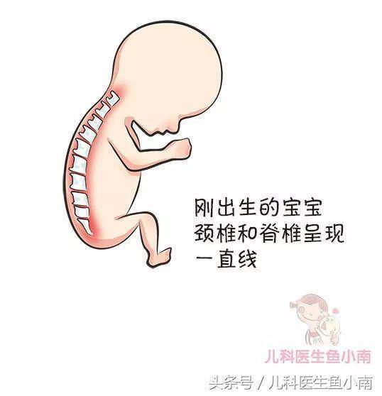 寶寶多大可以用枕頭？枕頭多大多高比較好？醫生：這些你必須知道!