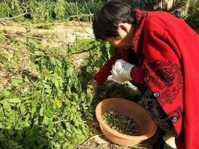 母親剛出院我把她接回家中，門口聽到鄰居聊天，我把母親送回老家