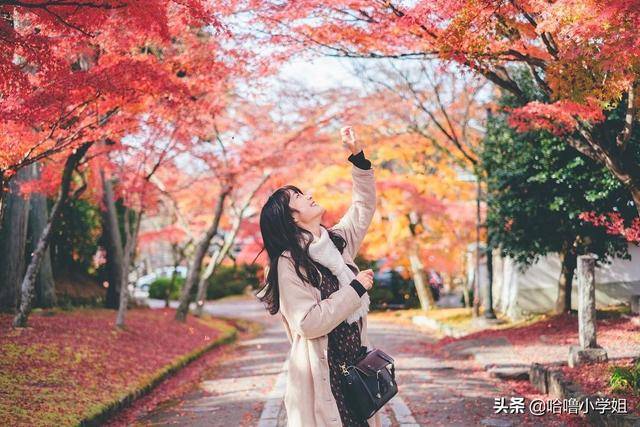 剛結婚婆婆就問我借8萬，拿錢送去聽到了這些話後，我決定再給5萬