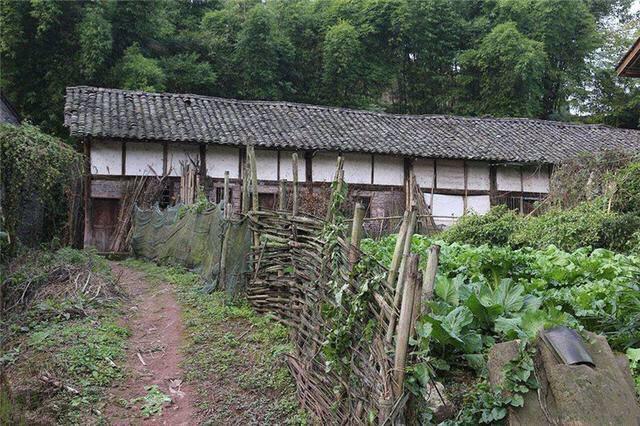 我懷孕老公讓婆婆來照顧我，沒過幾個月，我和老公卻要離婚了
