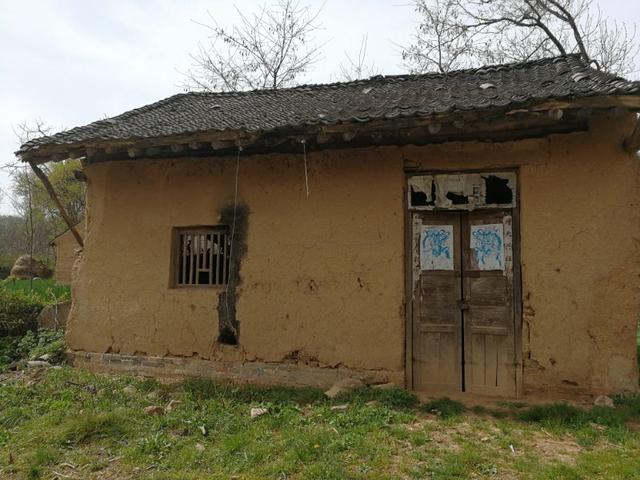 那年我和哥哥成了孤兒，遠方的舅爺爺收留了我倆，如今我要報恩
