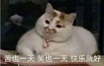 玩梗6到飛起！來看看一月新番中又出現了哪些動漫新梗吧~
