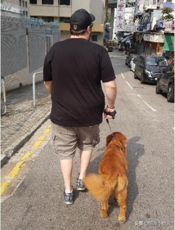 它盲了嗎？黃金獵犬散步被關心，飼主笑出聲：人家只是眼睛小！