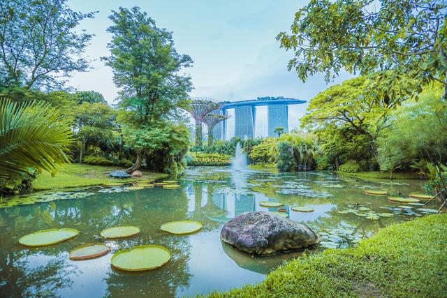 這裡被人們譽為「花園城市」，如今卻也被稱為「菜園城市」！