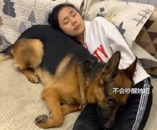 狗狗雖然不會說話，但對主人滿滿的愛意都在行動里！