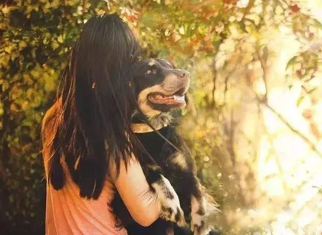 為什麼那麼多人喜歡狗？20個理由回答你...
