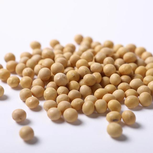 都在說「大豆振興」，原來大豆有這麼多化身