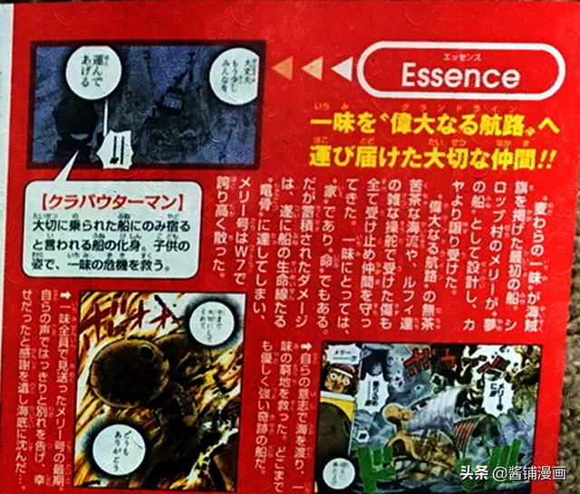 海賊王官方情報：尾田確定編號11號夥伴是誰，新成員再加入困難了