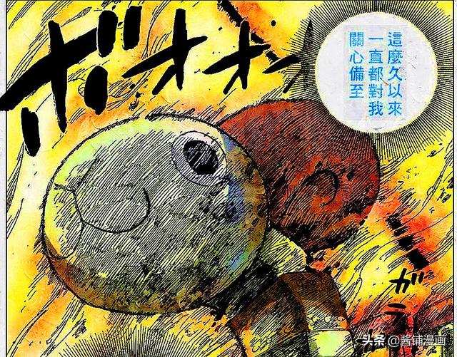 海賊王官方情報：尾田確定編號11號夥伴是誰，新成員再加入困難了