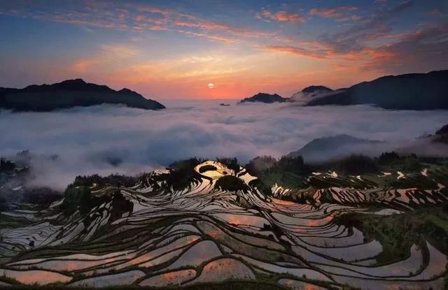 為給母親養老，他跑到鄉下蓋房，得國際大獎，造就全球必睡民宿！
