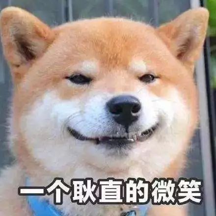 狗界乾隆爺！發現家裡狗兒「行蹤詭異」追查才發現「全村女友都懷龍種」立刻被拖回家關禁閉